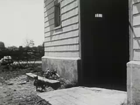 farmhouse exterior with open doorway and a cat walking outside near a bench