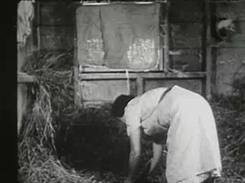 Woman bending down in the barn hay to check on the cat and kittens.