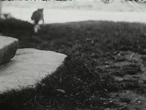 A kitten runs across a grassy yard, black and white film footage.