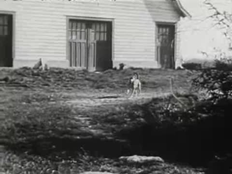 A dog runs across a yard toward the camera, black and white footage.