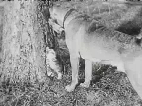 A large dog sniffs a kitten climbing a tree, black and white film.