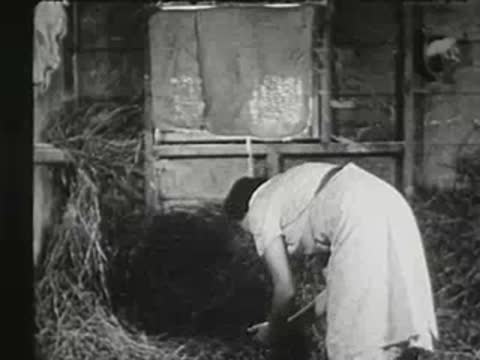 Woman working in the barn hay, reaching down near the floor.