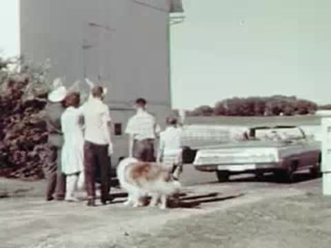 People and a dog standing outside a building waving as a car drives away.