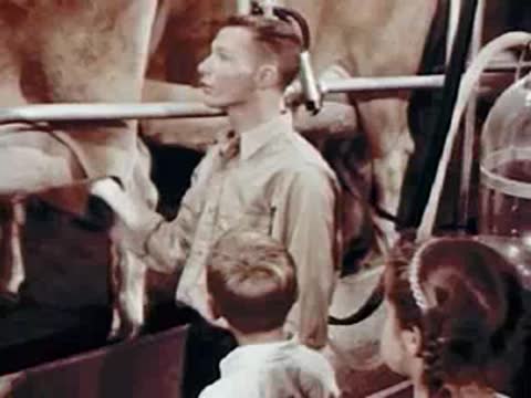 A man operating milking equipment in a dairy barn while children watch.