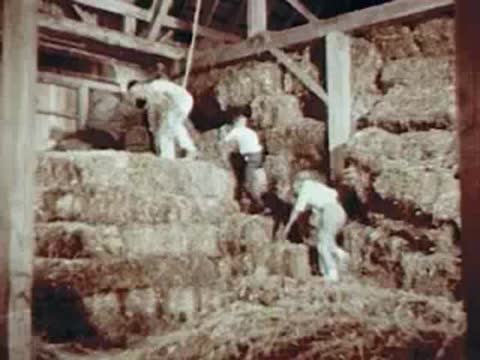 Children climbing up hay bales in a barn