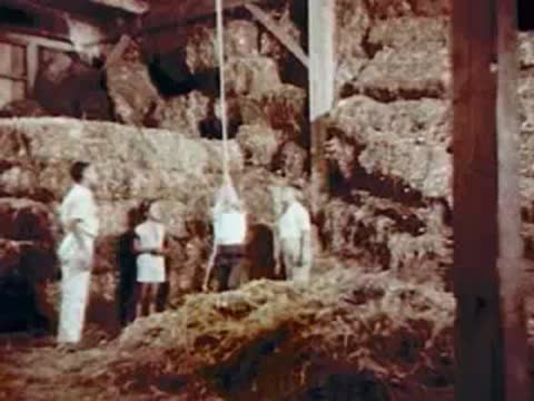 Children in a hayloft with stacked hay bales