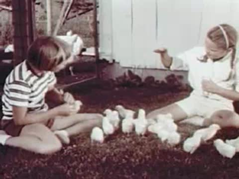 Child sitting on grass surrounded by many small chicks.