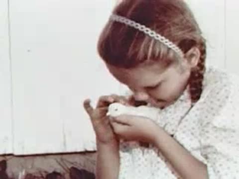Close-up of a child holding and examining a small chick.
