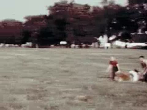 Children running in a grassy field with a collie dog.