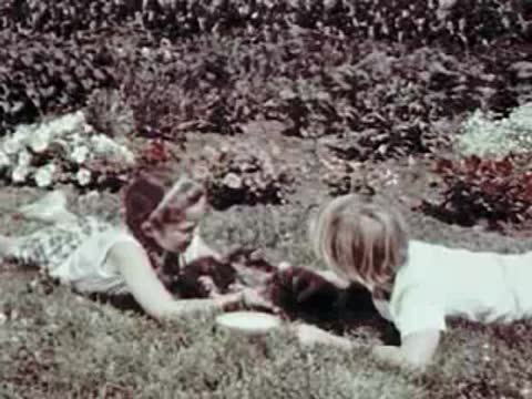 Children lying on the grass playing with a pet cat.