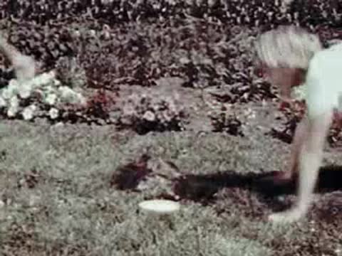 Child getting up from the grass near a cat and bowl.
