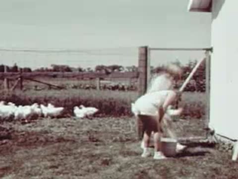 Children playing near a fence with white animals outside
