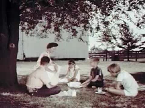 Family having a picnic under a large tree outdoors