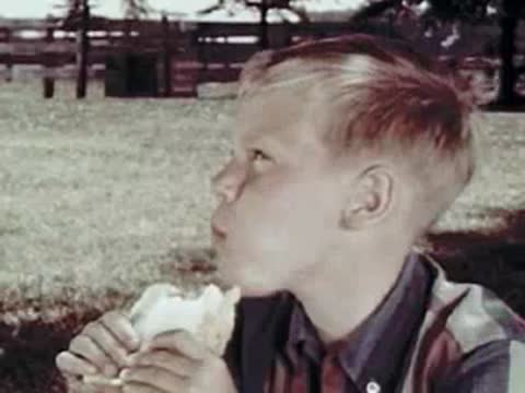 Boy eating a sandwich outdoors, close-up shot