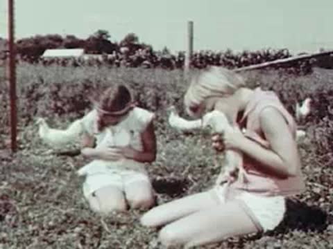 Girls sitting outdoors holding small white animals, farm setting