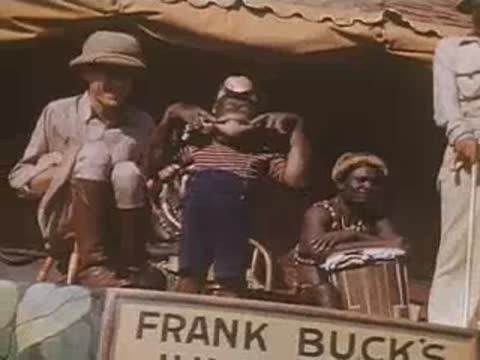 Safari performer and chimpanzee interacting on stage with drummers below the Jungleland sign.