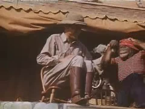 A chimpanzee in striped clothing and red hat sits next to a safari guide.