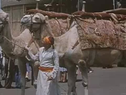 A man in traditional attire leads two harnessed camels past the Jungleland exhibit.