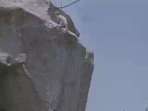 Various shots of monkeys on ledges of a rocky cliff or structure.