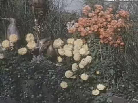 A medium shot of pink and yellow flowers in a garden with a statue.