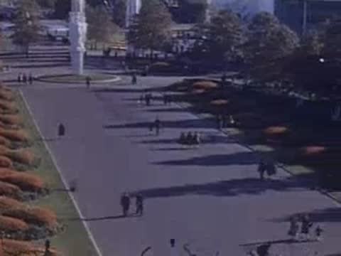 A wide aerial view of a long pathway bordered by autumn-colored flowerbeds and neatly trimmed trees.