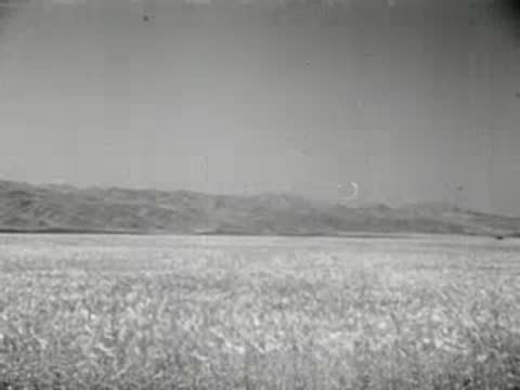 Wide view of agricultural field with distant hills, 1940s