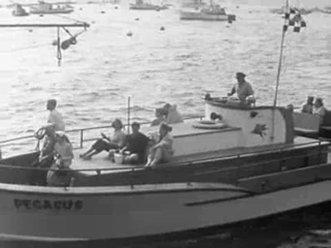 A tour boat named Pegasus carrying passengers on the water near the coast.