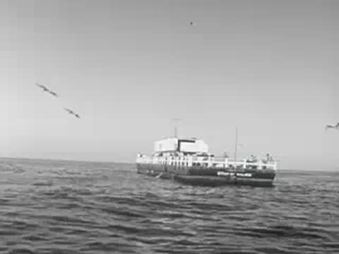 A boat cruising on the ocean water with birds flying above it in the distance.