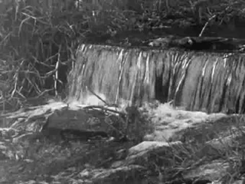 A small waterfall flows over rocks in a wooded stream.