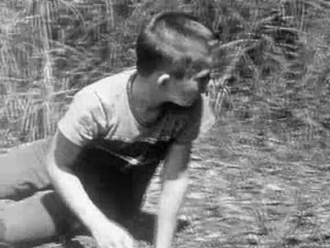 A young boy kneels in grassy undergrowth near a stream.