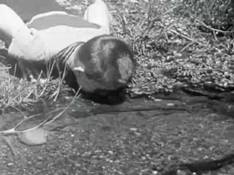 A young boy bends down to drink from a natural stream.