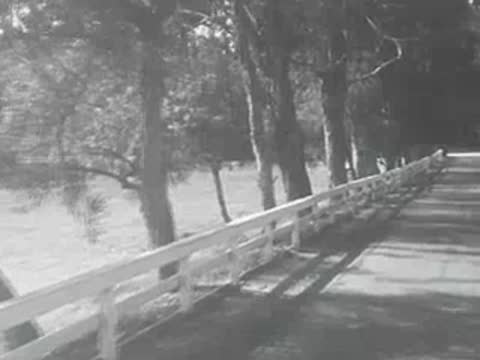 A paved path with a white wooden fence and trees in 1950s California.