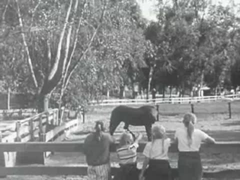 People pet a horse behind a fence at a ranch in 1950s California.