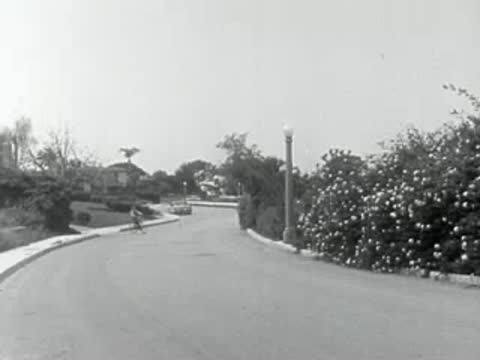 Suburban street with houses and palm trees in 1950s California.