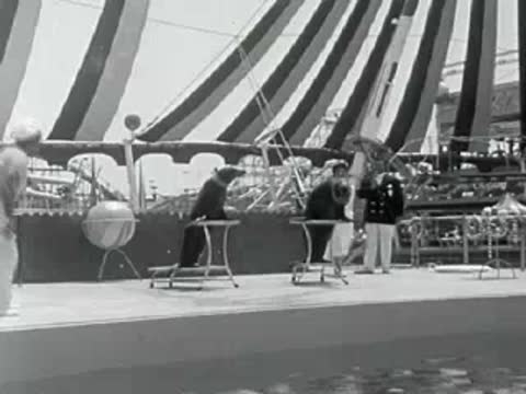 Performers at an outdoor aquatic animal show under a striped tent roof.