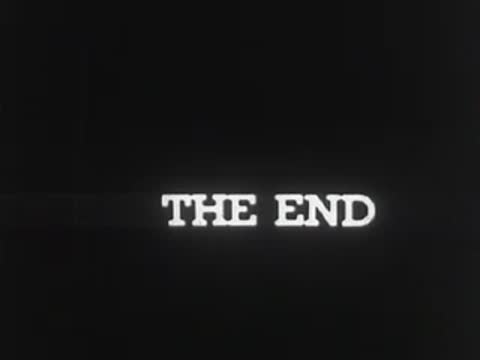 Black title card with white text reading "THE END".