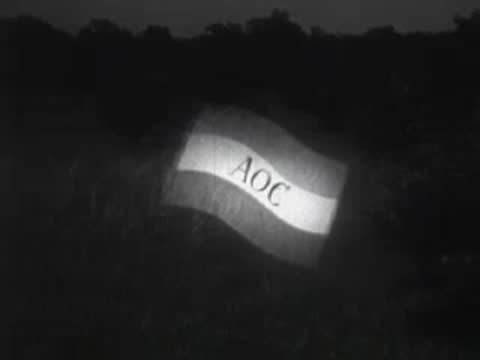 A waving flag with cross symbols and text set against a dark landscape.