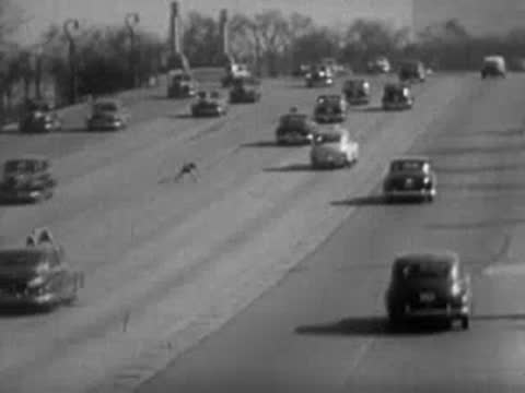 Road maintenance workers with tools near a highway with moving cars
