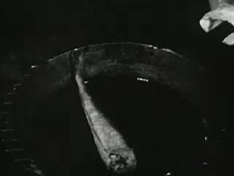 Close-up of cooked fish being lifted with a fork onto a paper plate