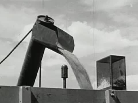 Grain elevator dumping grain into a container, agricultural processing facility