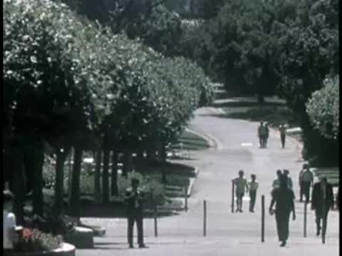 Long park walkway lined with tall trees and people walking.