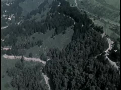 Aerial view of dense green forest with a winding path.