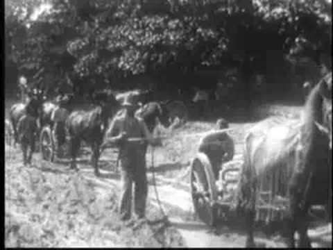 horses pulling a cart along a muddy dirt road
