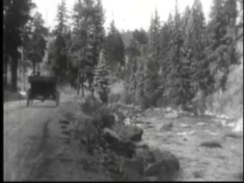 Vehicle driving down a dirt road through a dense forest.