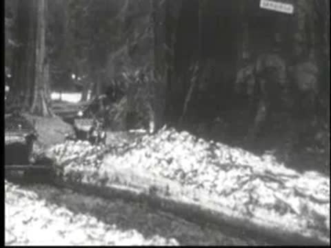Car driving past a huge pile of snow or ice by trees.