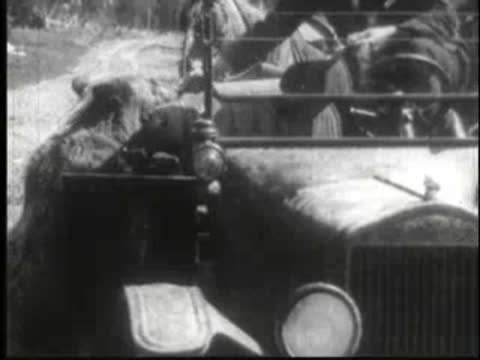 Bear interacting with the front of a parked vintage car.