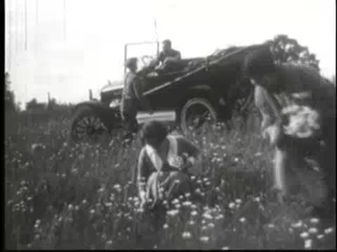 People picking flowers in a field with an old car parked nearby.