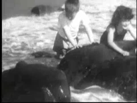 Children playing by water and rocks with crashing waves.