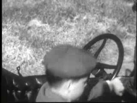 a young person holding the steering wheel inside a car