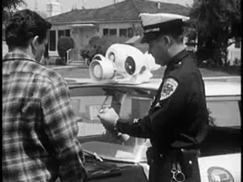 Police officer talking to a person inside a police car.